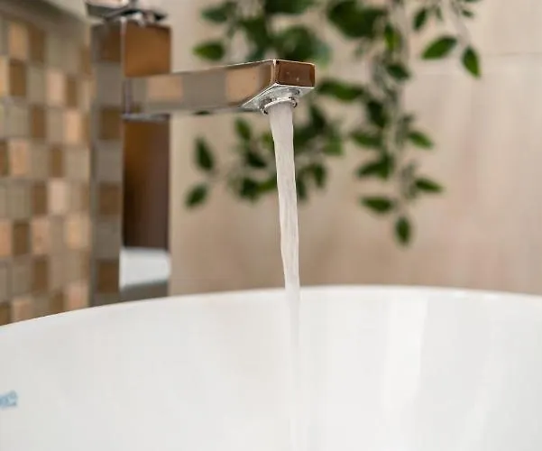 Chelubirdi * Віллазімьюс